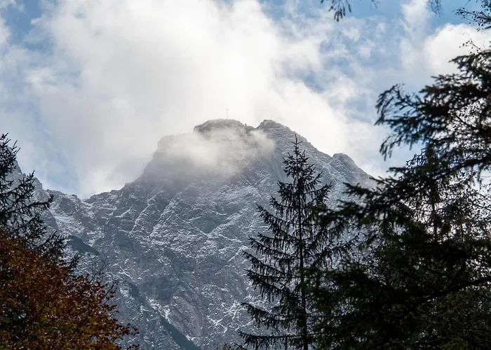 Delta House Hébergement de vacances *